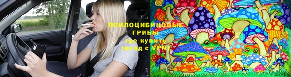 прущая мука Зеленодольск