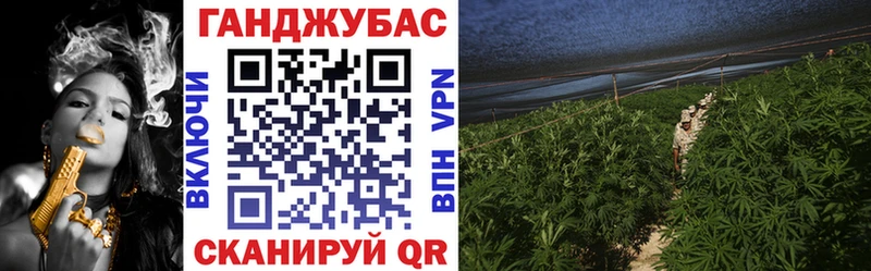 Канабис планчик  Купить закладки  Вилючинск 